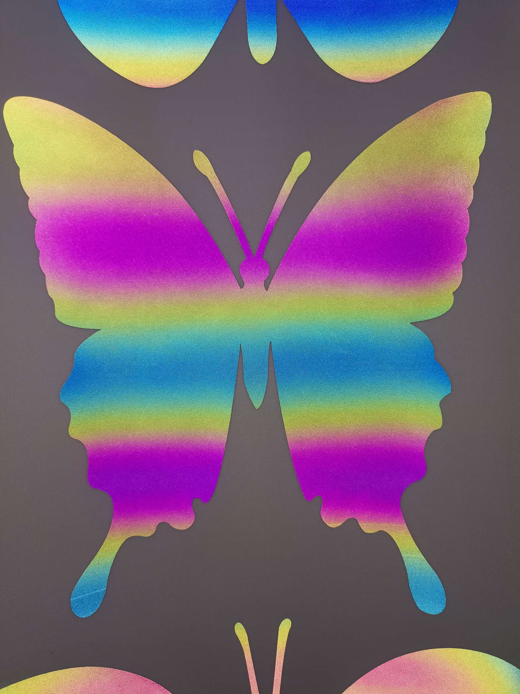 Butterfly Seven-color segment color Dazzling color PU engraving film, engraving film Hot stamping pattern PVC engraving film, TPU engraving film, scallion powder engraving film, reflective engraving film, segment color reflective film, Luminous engraving film details Picture