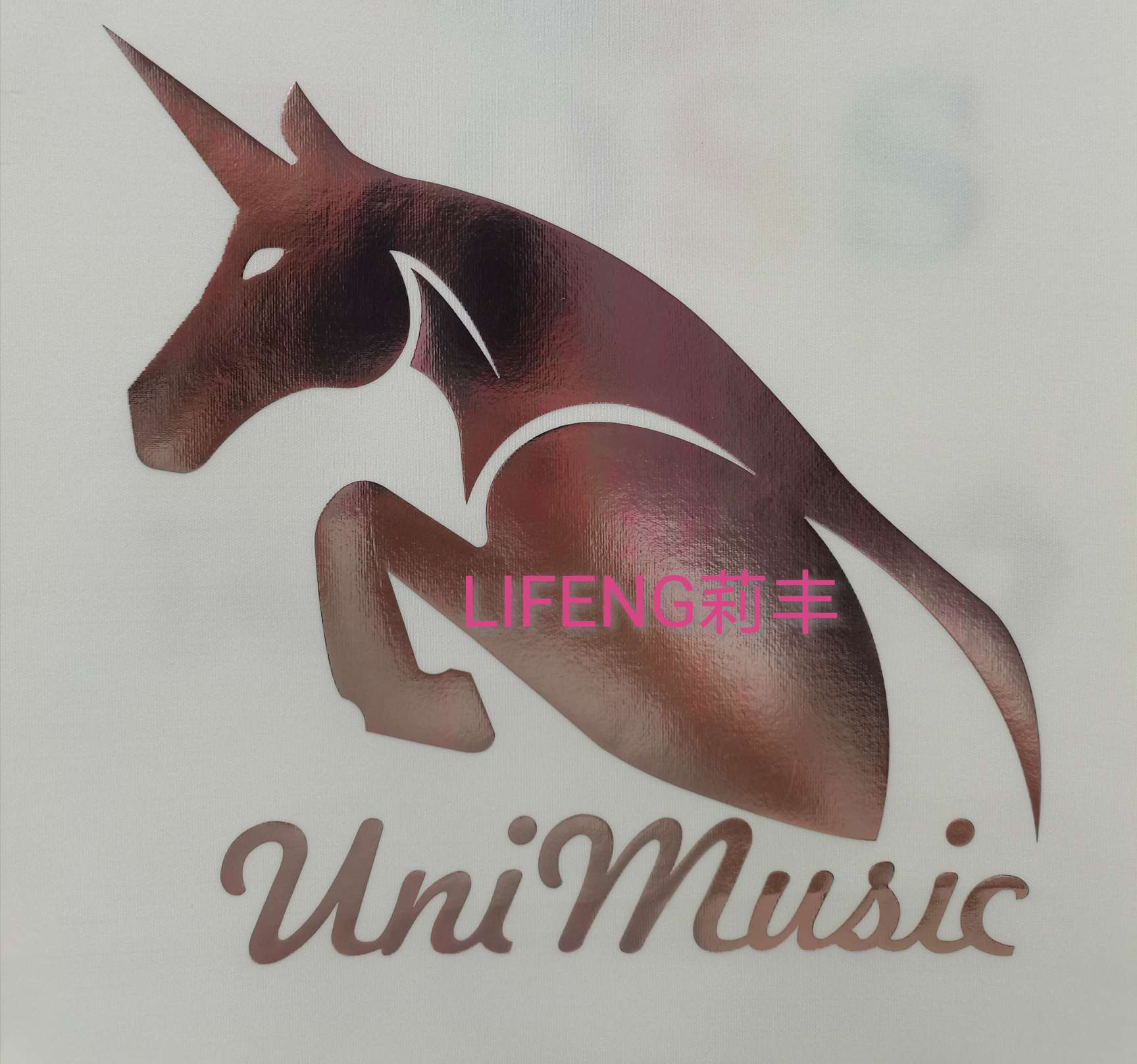 T-shirt Unicorn hot stamping, laser engraving film, hot stamping, PU engraving film, PVC engraving film, TPU engraving film, scallion powder engraving film, reflective engraving film, segment color reflective film, luminous Application Scenario
