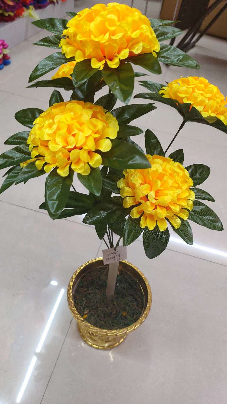 ستة زهور details Picture