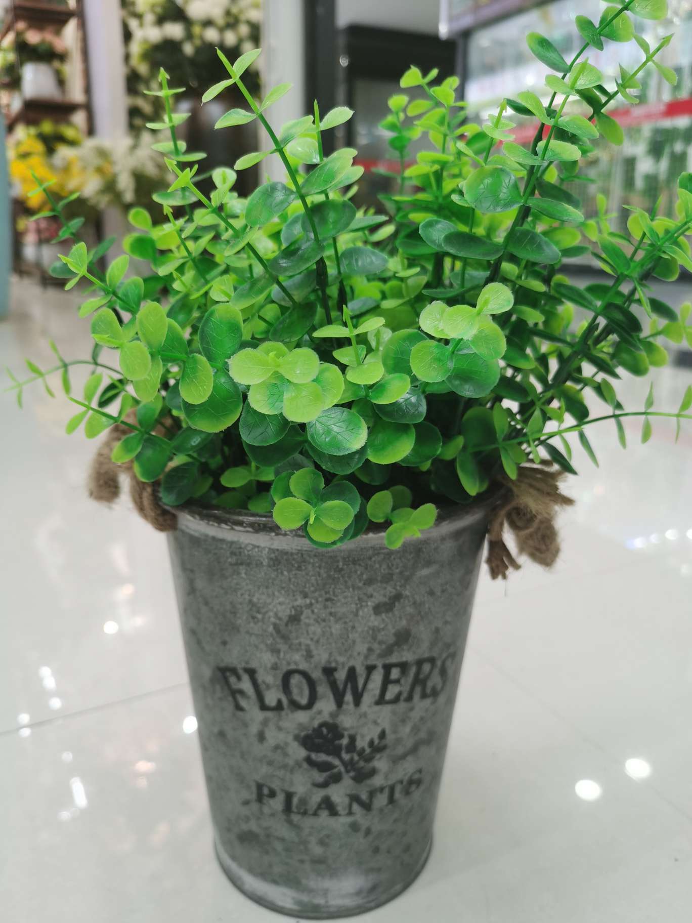 Seven eucalyptus Specification image
