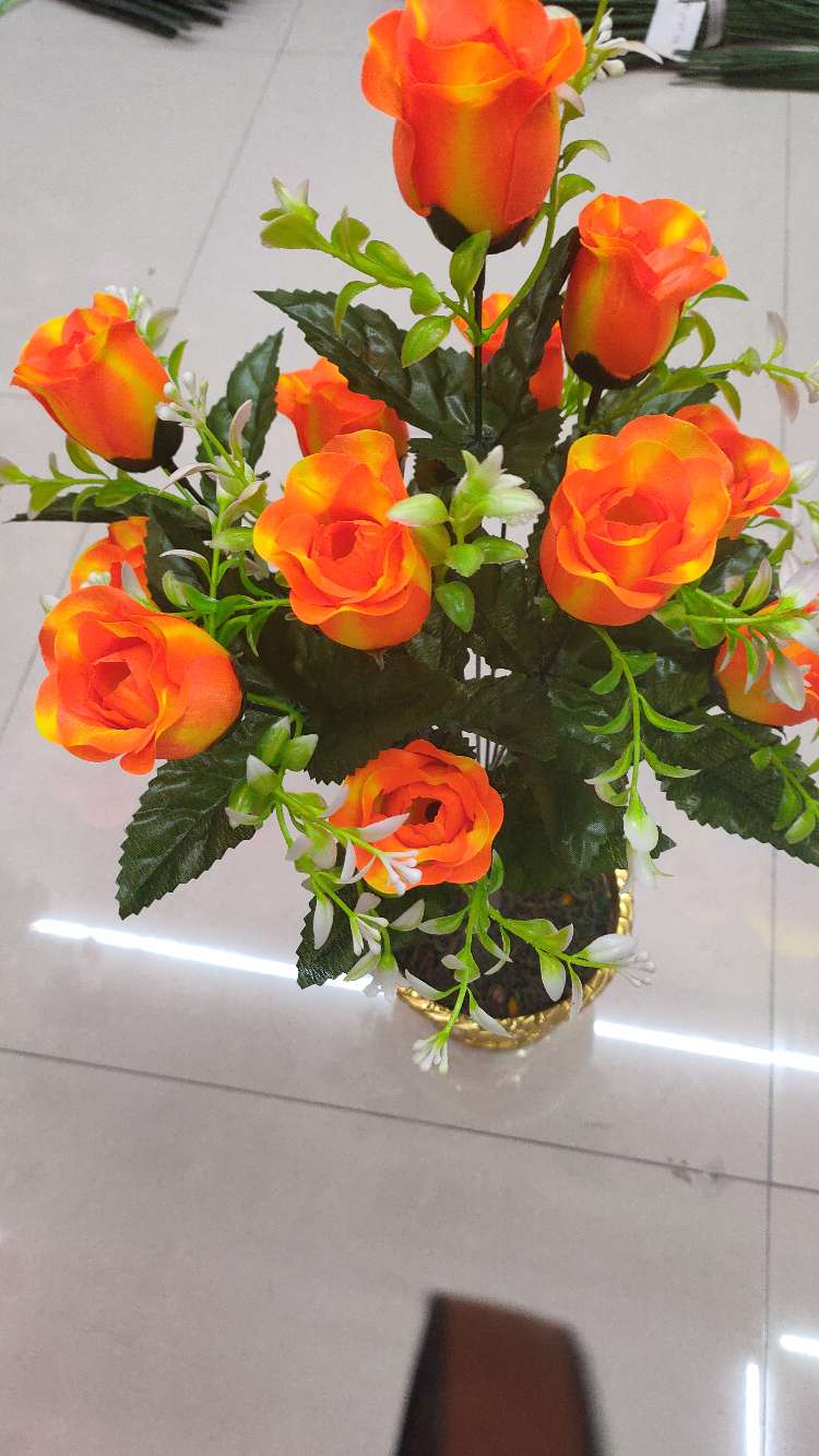 إثنا عشر براعم