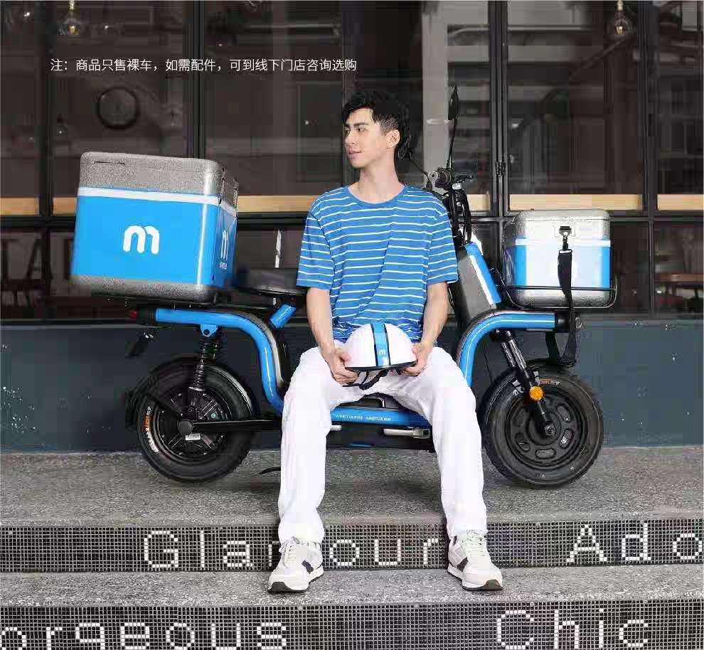 Emma electric car details Picture