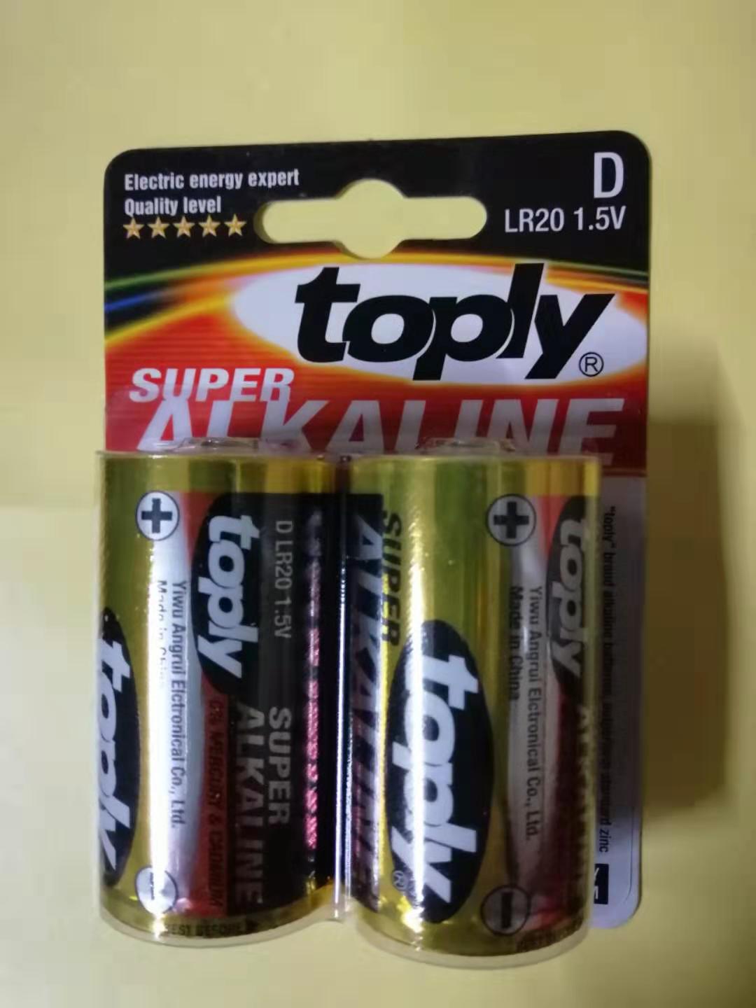 Alkaline 1 battery D20