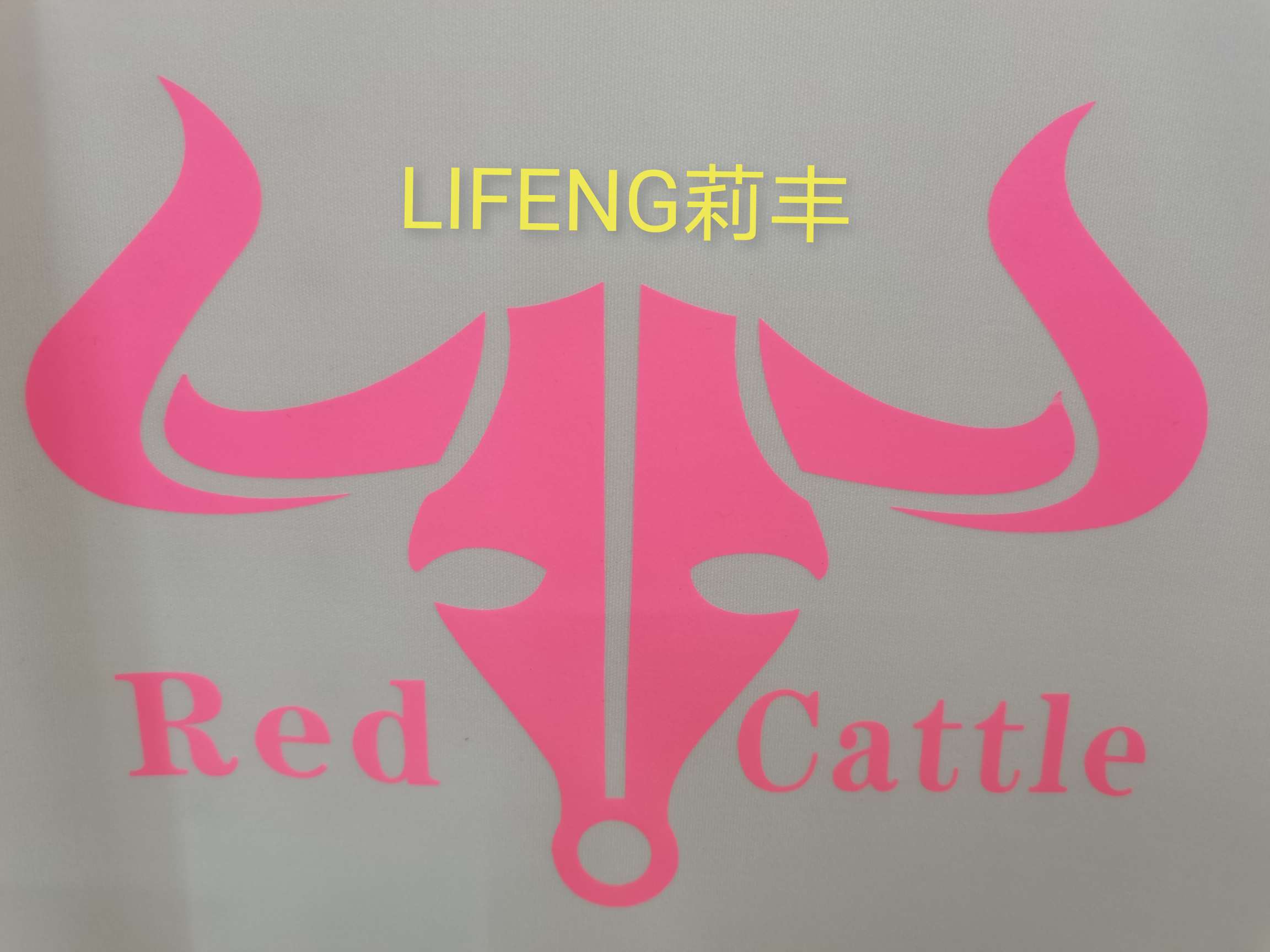 Luminous engraving film, luminous heat transfer engraving film, hot stamping and heat transfer, clothing accessories, trademark luminous engraving film, luminous heat transfer engraving film, hot stamping and heat transfer, luminous engraving film Item Picture