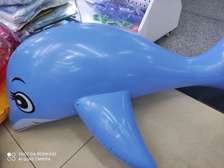 大海豚