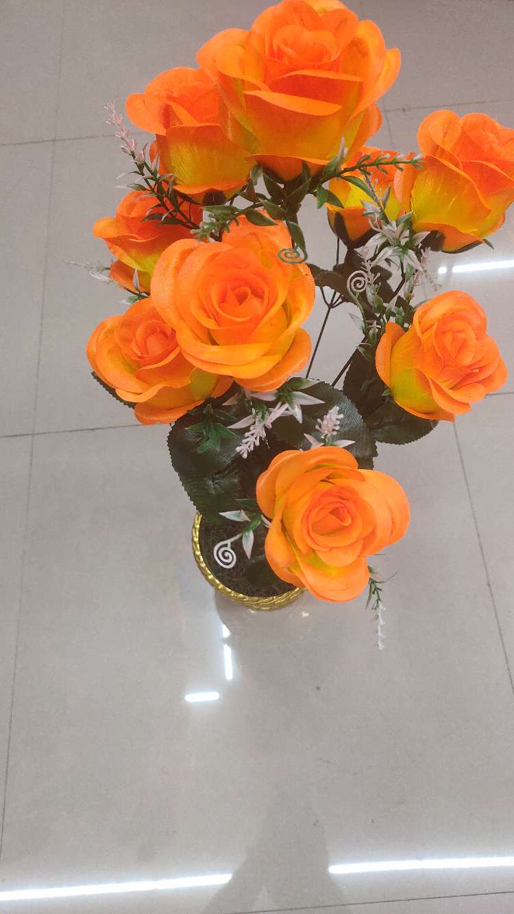 راي فلاش