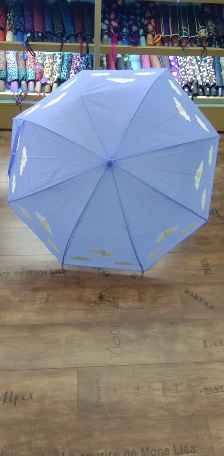 精品雨伞12