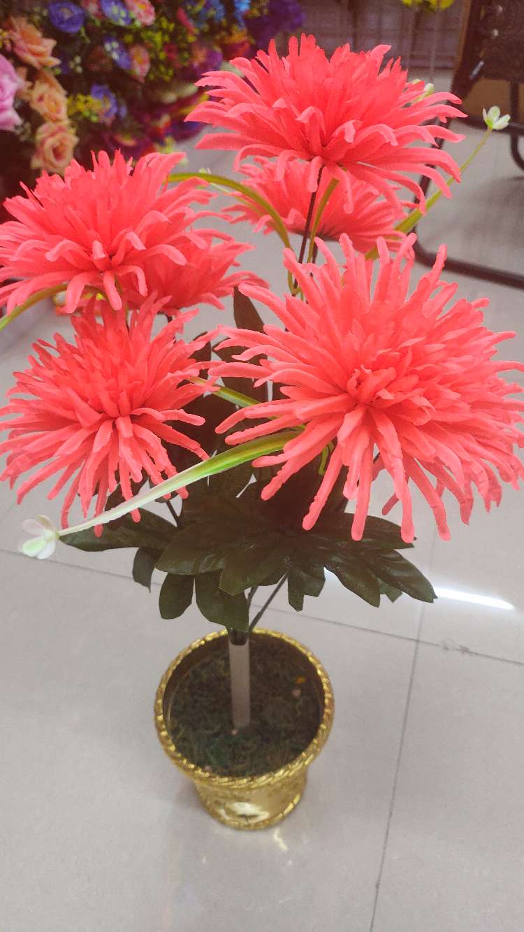 Seven imperial concubine chrysanthemums details Picture