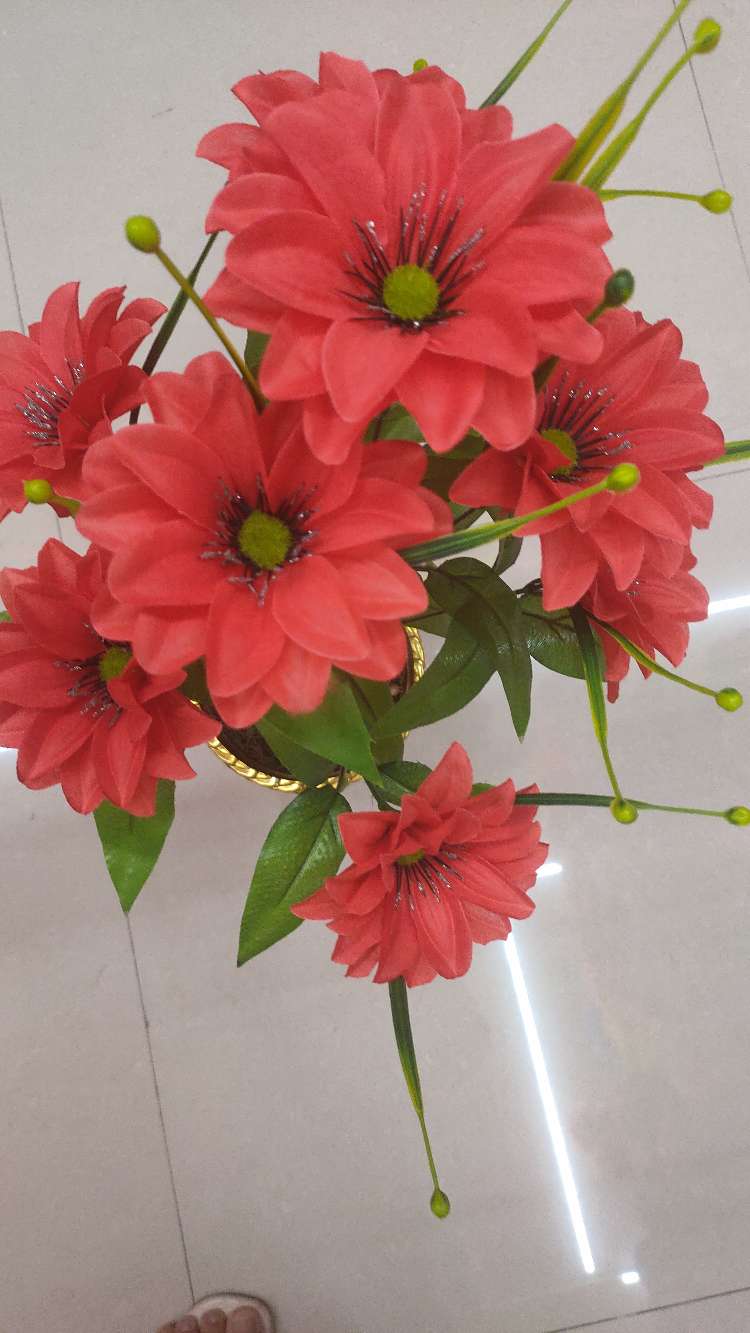 تسعة أزهار سيف الغراب