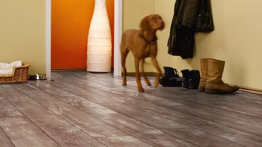 The price of Dehejia Flooring's German Rumu Rooms laminate flooring RV804 is negotiable Item Picture