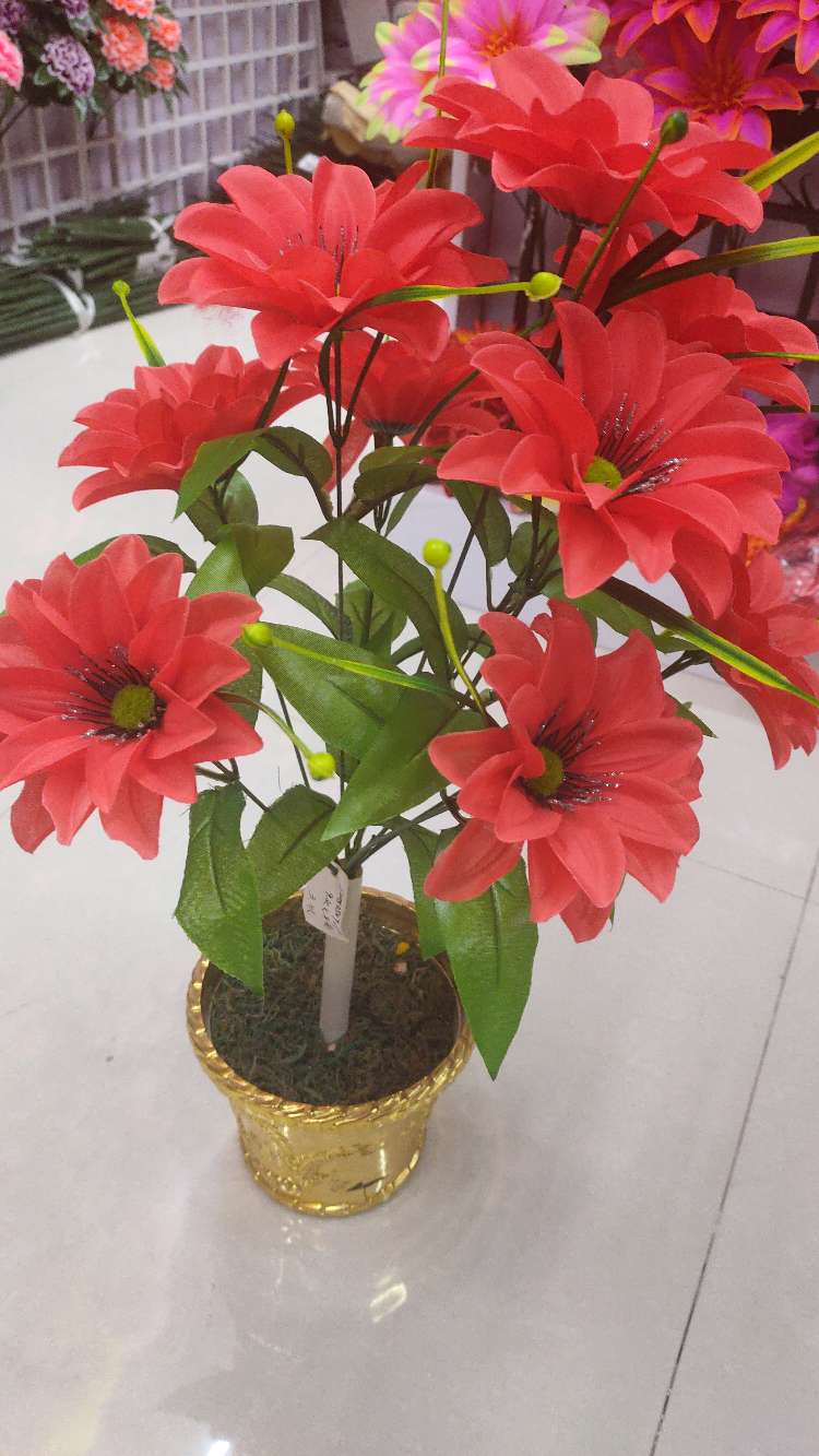 تسعة أزهار سيف الغراب details Picture
