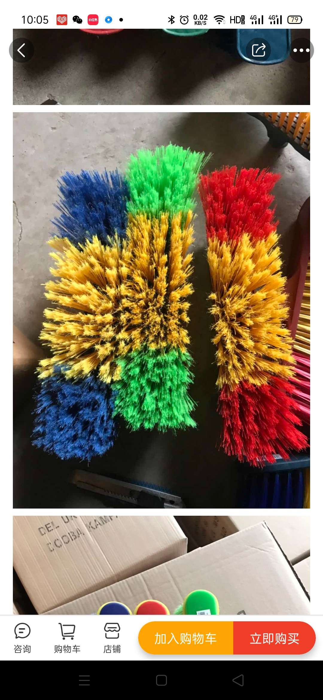 Flowering filament broom 🧹 with rod details Picture