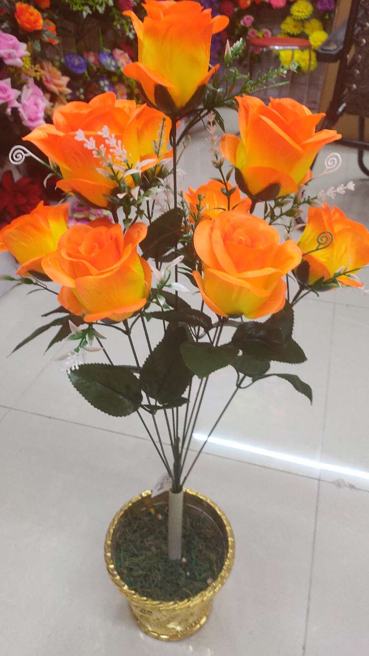 راي فلاش details Picture