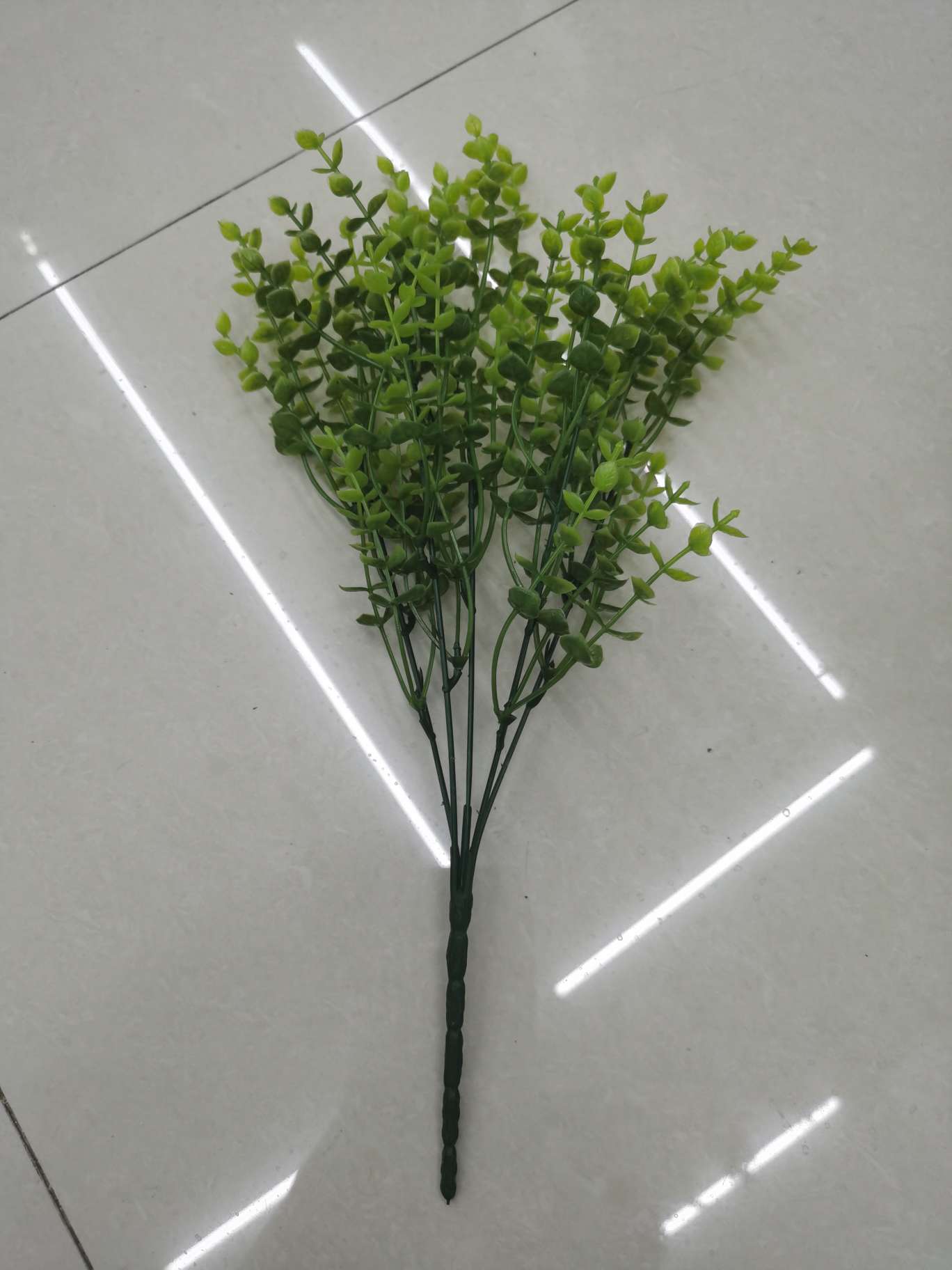 خمسة أشواك من العشب details Picture