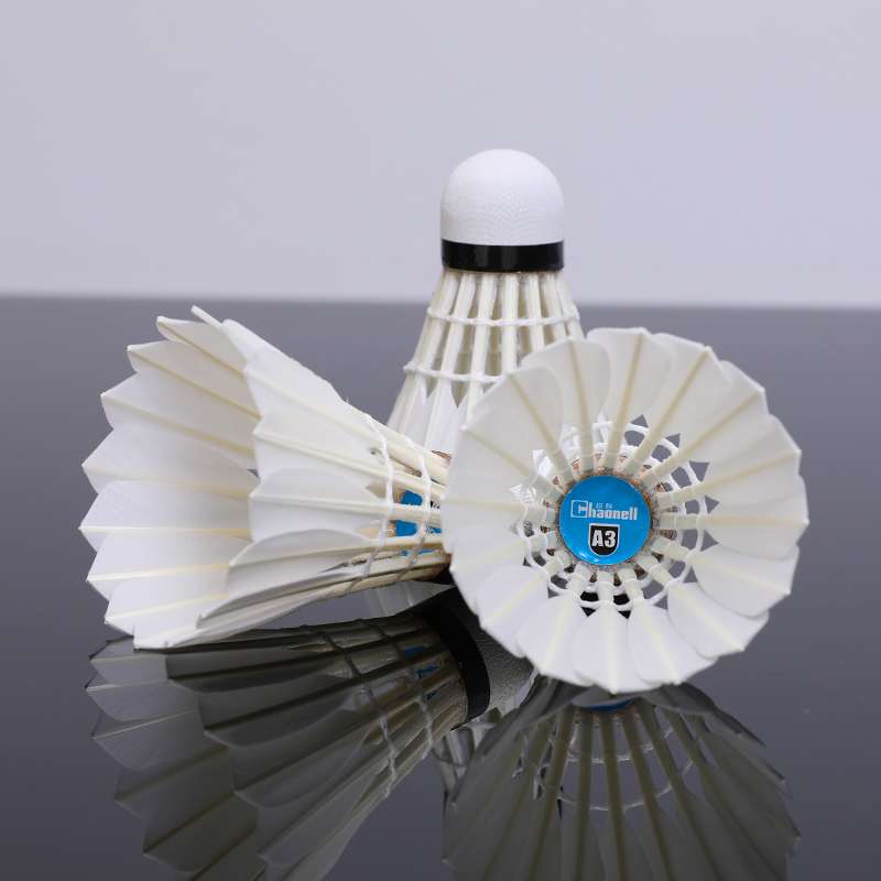 羽毛球/胜利羽毛球/羽毛球鹅毛/亚狮龙/羽毛球训练器产品图