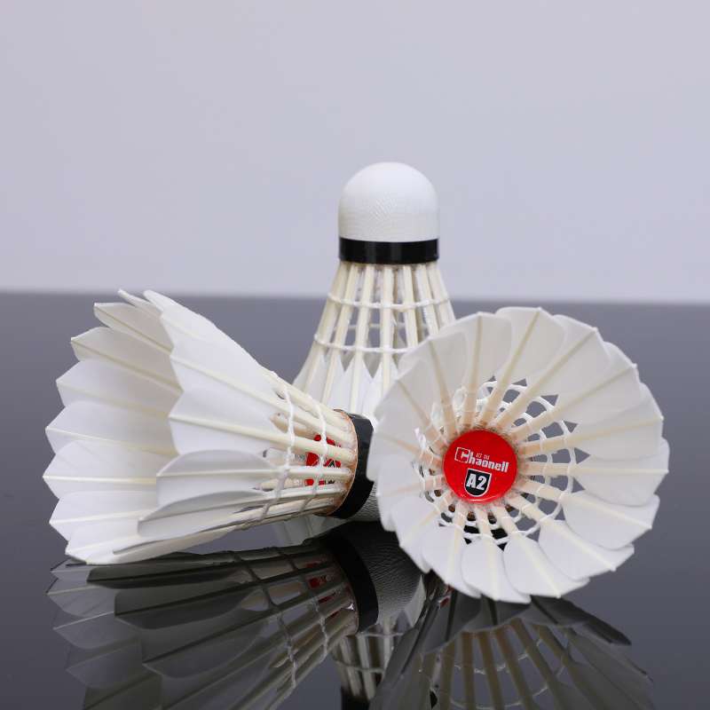 羽毛球/胜利羽毛球/羽毛球鹅毛/亚狮龙/羽毛球训练器产品图