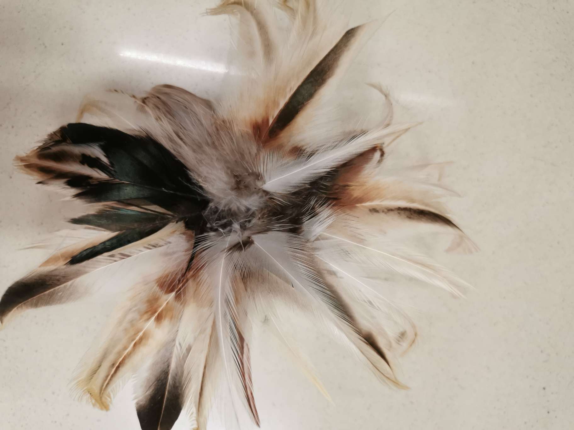 小玩具/玩具/金蛋/鲁班大飞鸟/塑料玩具小车车白底实物图