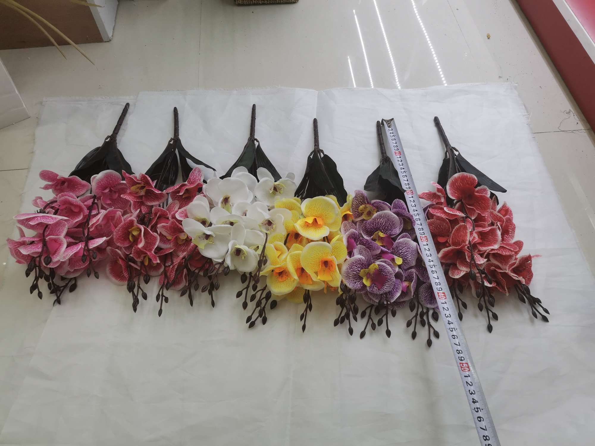 Simulated 5-forked autumn Phalaenopsis Application Scenario