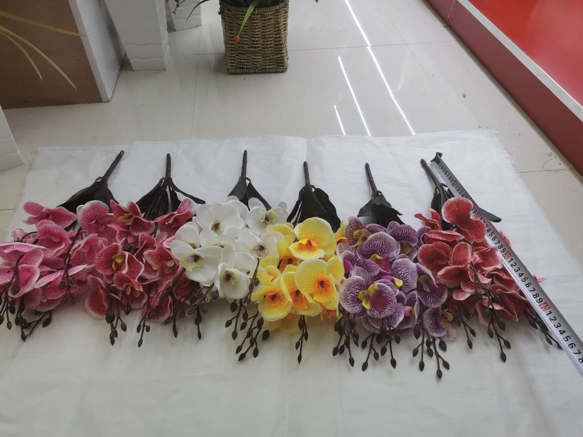 Simulated 5-forked autumn Phalaenopsis details Picture