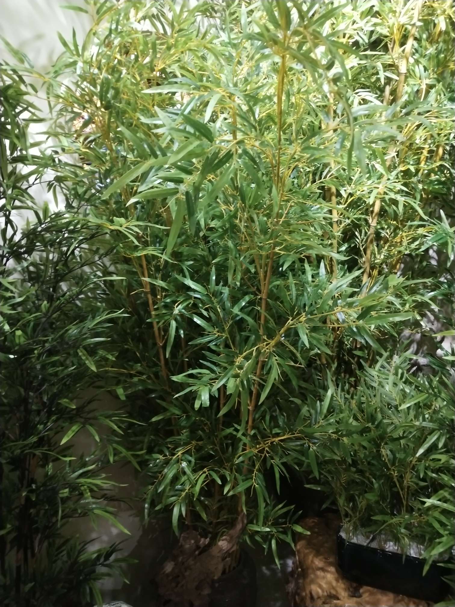 宠物园艺用品白桦树叶干草竹木藤苇副产品自然环保宠物玩具装饰材料