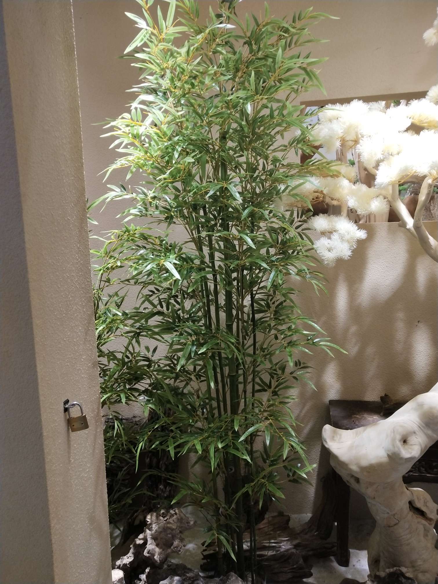 厂家直销 竹子