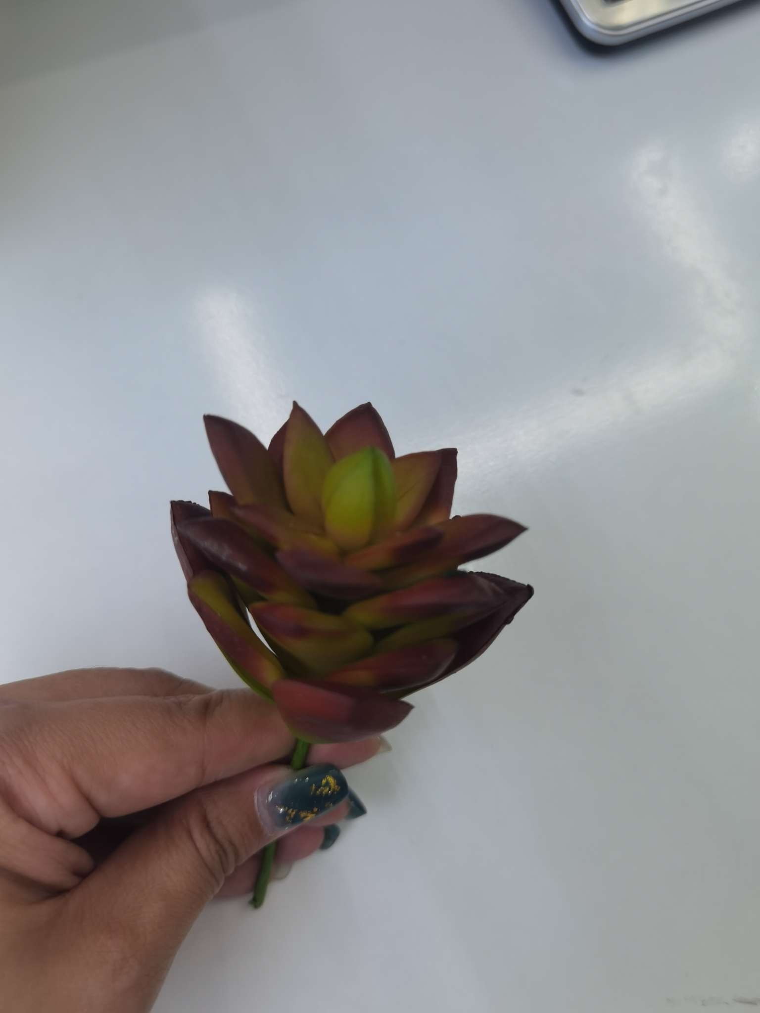 Simulated succulents