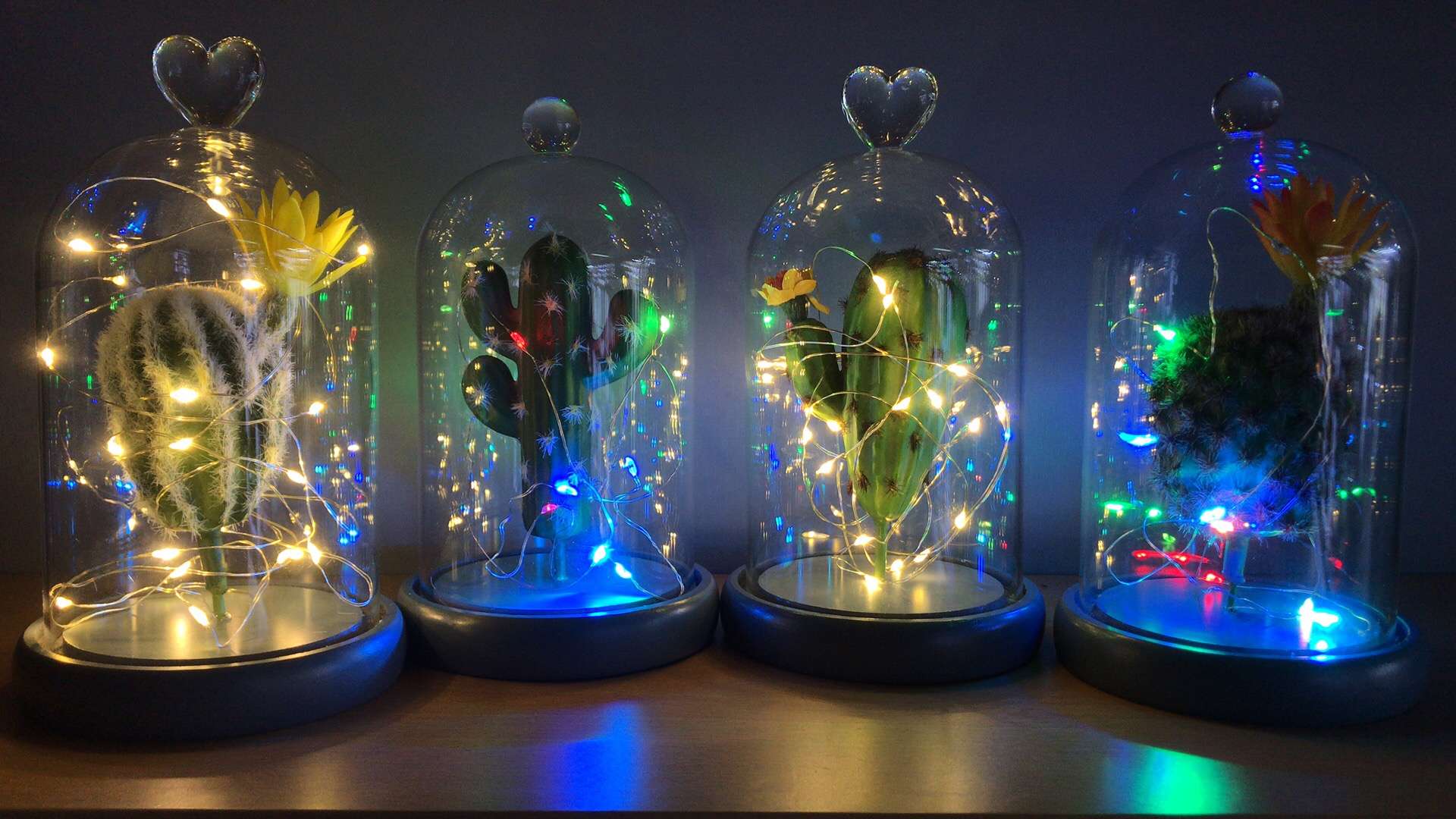 Creative Valentine's Day gift wholesale, artificial succulent plant potted plants, bonsai, glass covers, decorative ornaments, romantic colored lights, atmosphere lights, succulent plant decorative gifts undefined