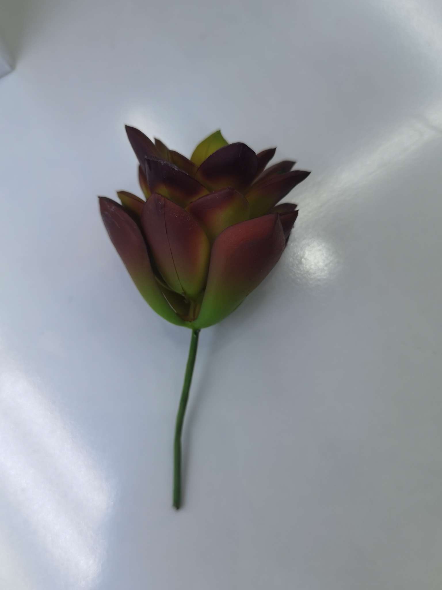 Simulated succulents Application Scenario