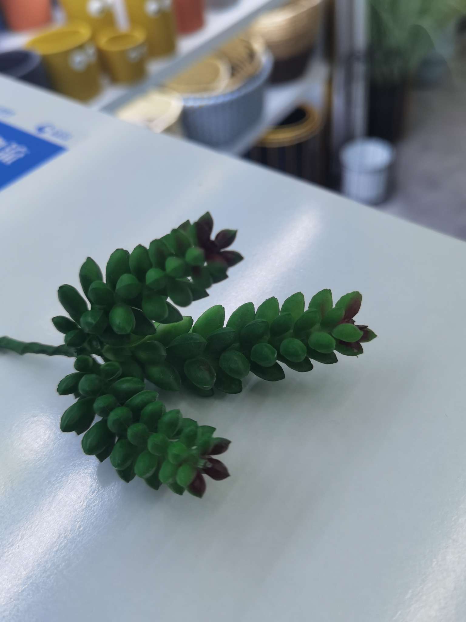 Simulated succulent plant bonsai accessories details Picture