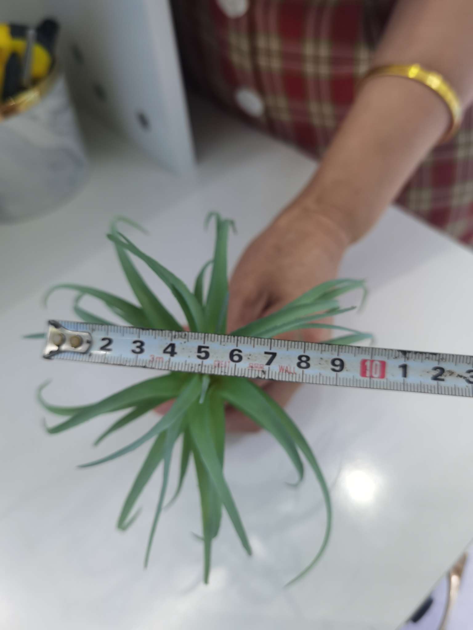 Direct sales from the manufacturer of artificial succulent plants Specification image