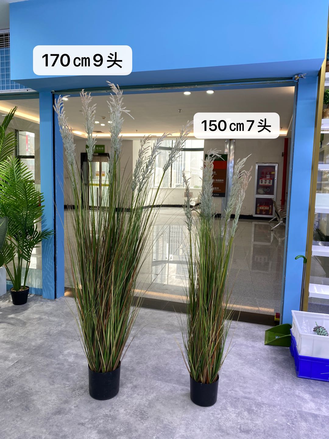 Simulated reed and onion grass potted bonsai, a popular online hit, is a large decorative item for wedding and restaurant decoration undefined