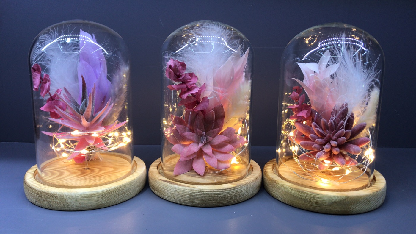 Creative Valentine's Day gift wholesale, artificial succulent plant potted plants, bonsai, glass covers, decorative ornaments, romantic colored lights, atmosphere lights, succulent plant decorative gifts undefined
