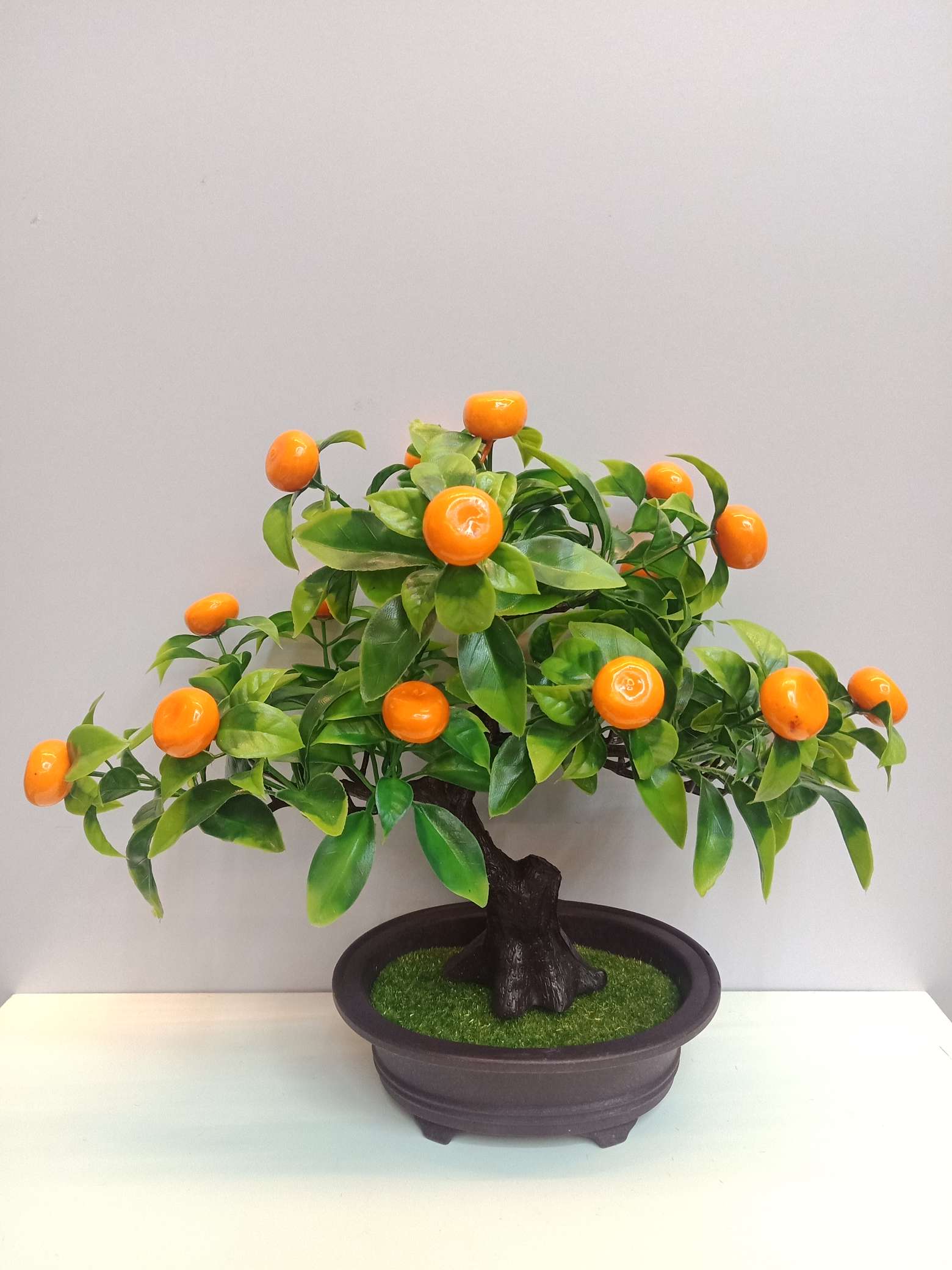 Auspicious fruit tree Specification image