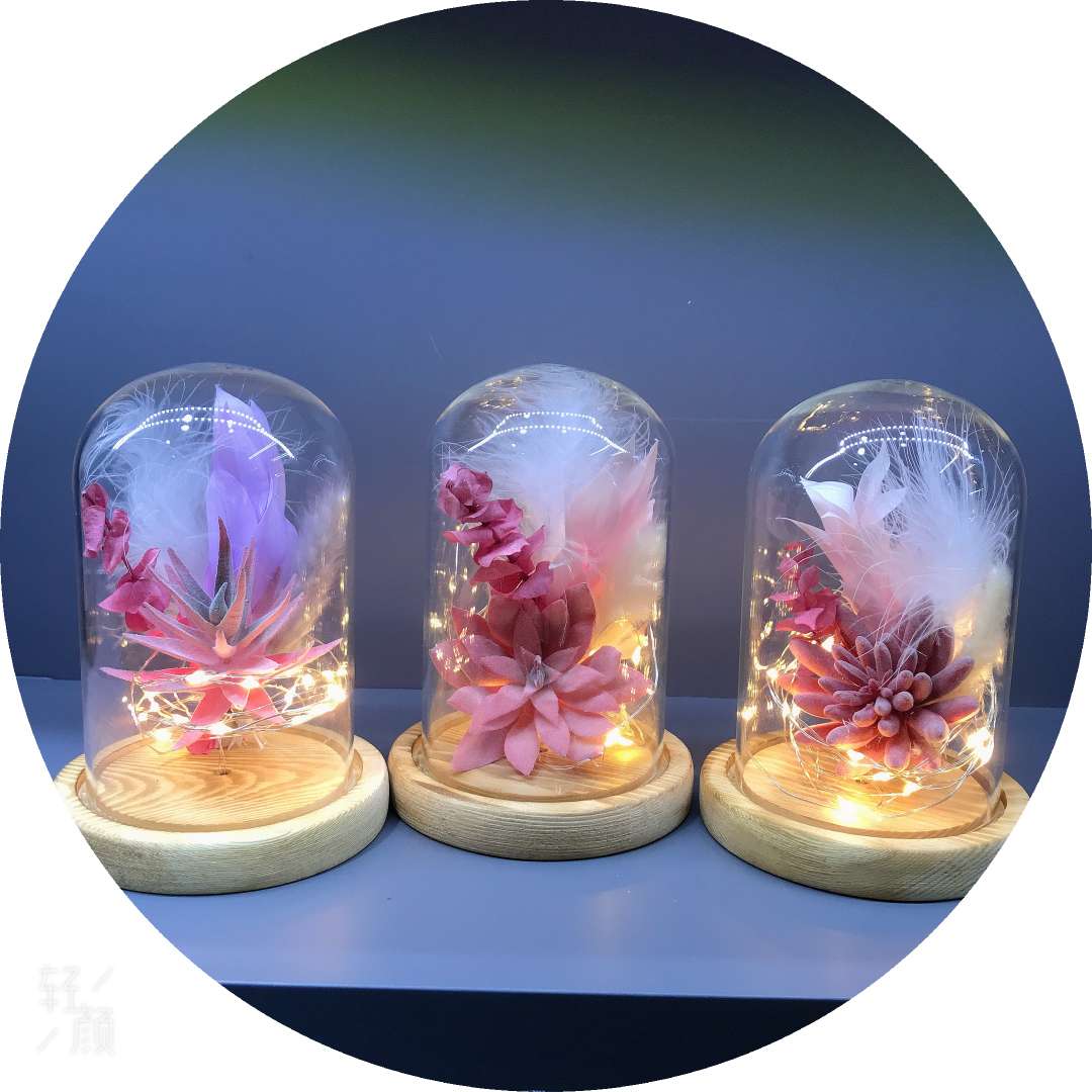 Creative Valentine's Day gift wholesale, artificial succulent plant potted plants, bonsai, glass covers, decorative ornaments, romantic colored lights, atmosphere lights, succulent plant decorative gifts Specification image