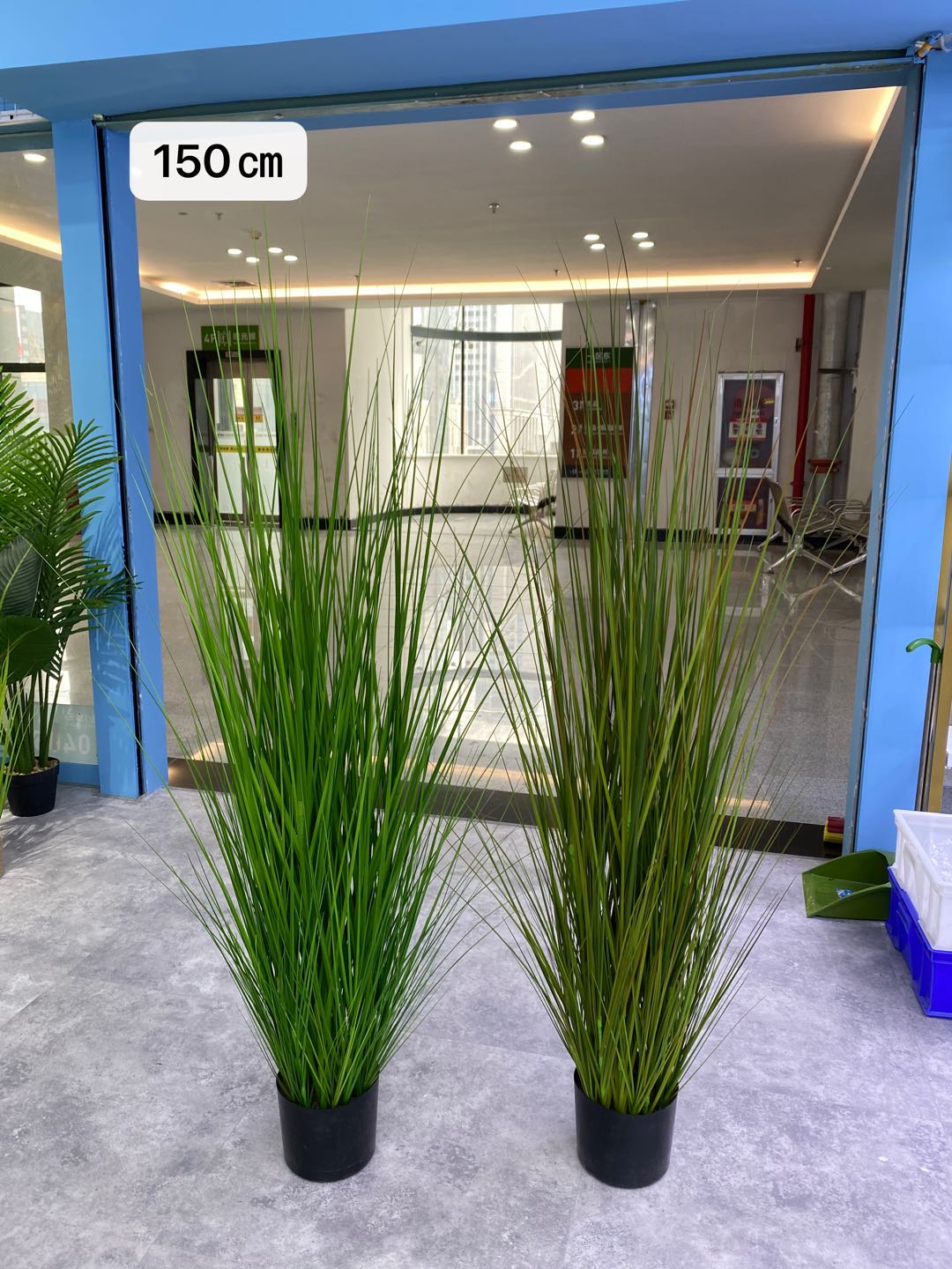Simulated reed and onion grass potted bonsai, a popular online hit, is a large decorative item for wedding and restaurant decoration undefined
