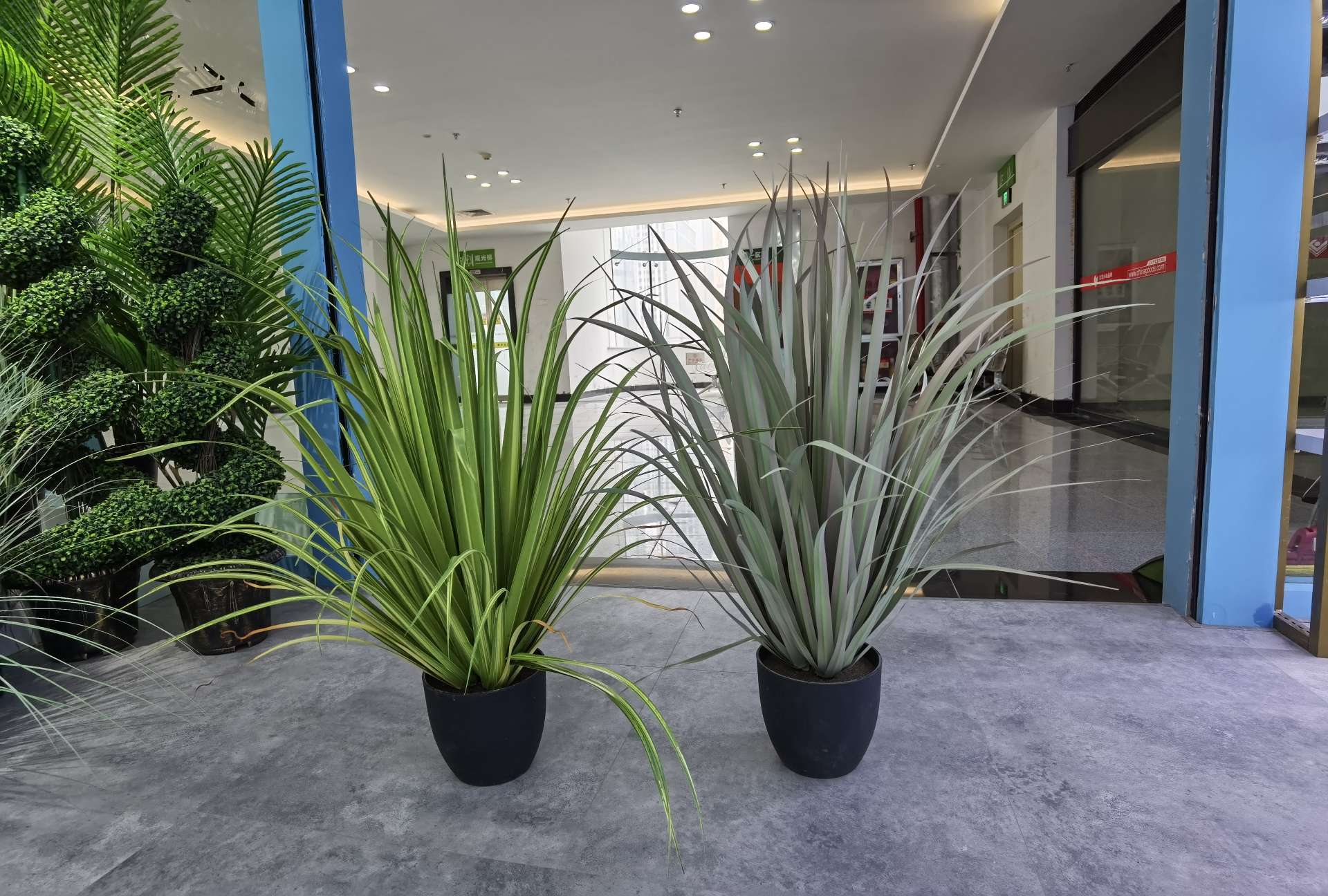 Artificial reeds, onion grass, potted plants, bonsai, home decoration items, coffee tables, TV cabinets, dining tables, tabletop decoration props, and decorative items Item Picture