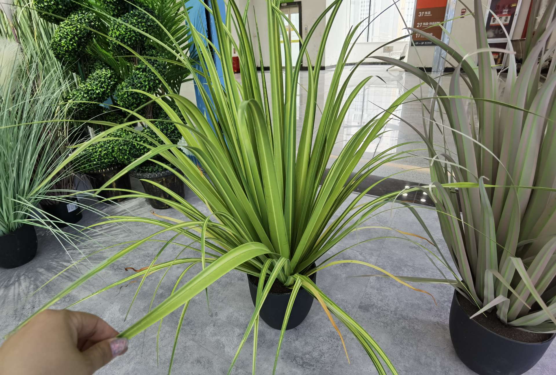 Artificial reeds, onion grass, potted plants, bonsai, home decoration items, coffee tables, TV cabinets, dining tables, tabletop decoration props, and decorative items undefined