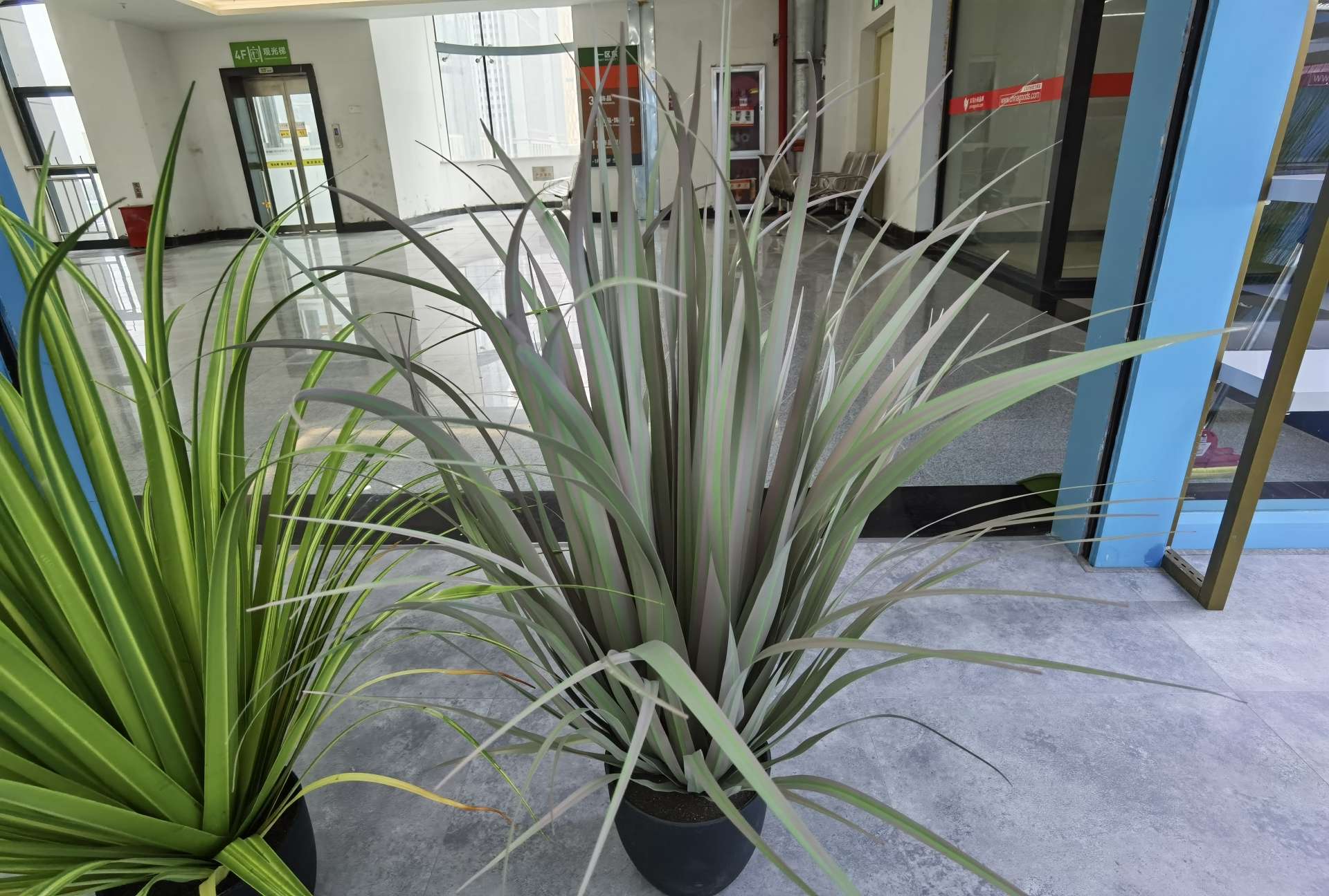 Artificial reeds, onion grass, potted plants, bonsai, home decoration items, coffee tables, TV cabinets, dining tables, tabletop decoration props, and decorative items details Picture