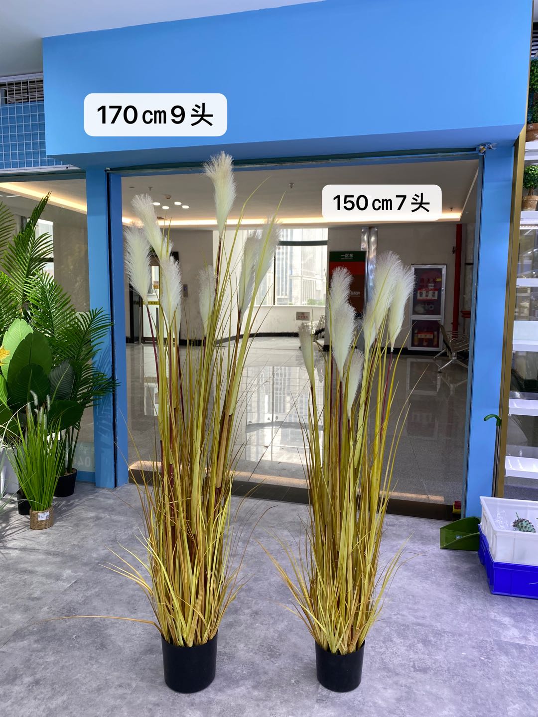 Simulated reed and onion grass potted bonsai, a popular online hit, is a large decorative item for wedding and restaurant decoration undefined