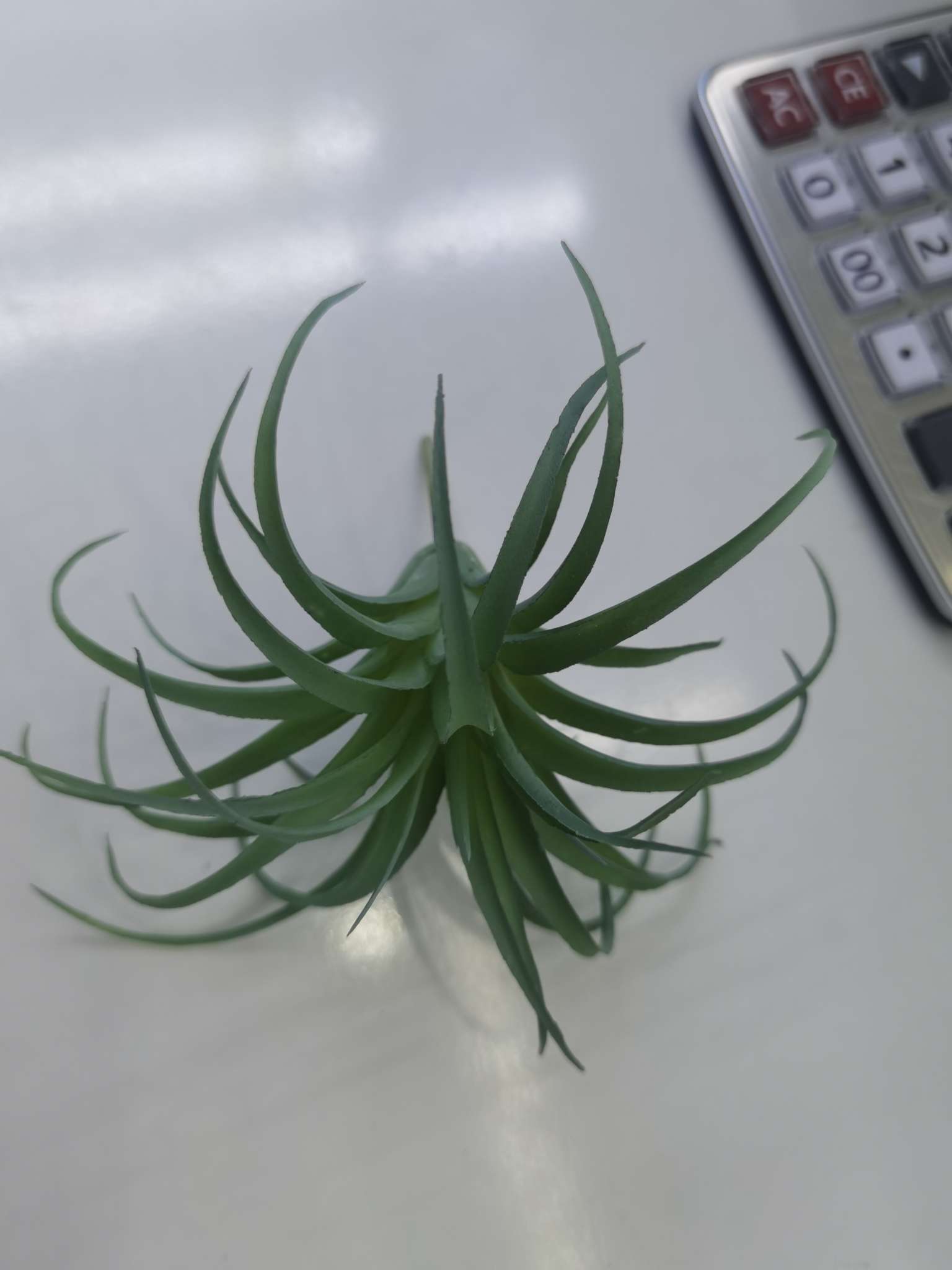 Direct sales from the manufacturer of artificial succulent plants details Picture