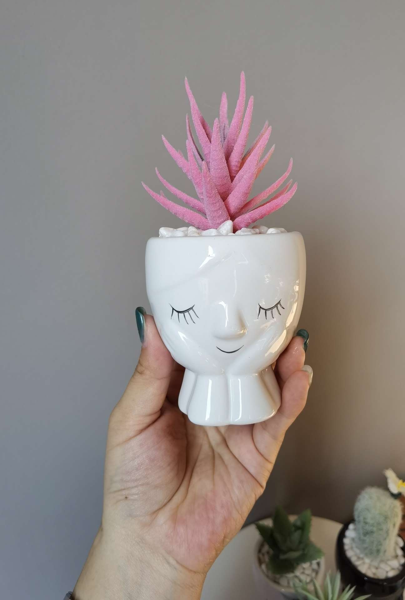 Creative human figure simulation, succulent plant potted plants, bonsai, home decoration items, coffee tables, TV cabinets, dining table surface decorations, and foreign trade bestsellers Application Scenario