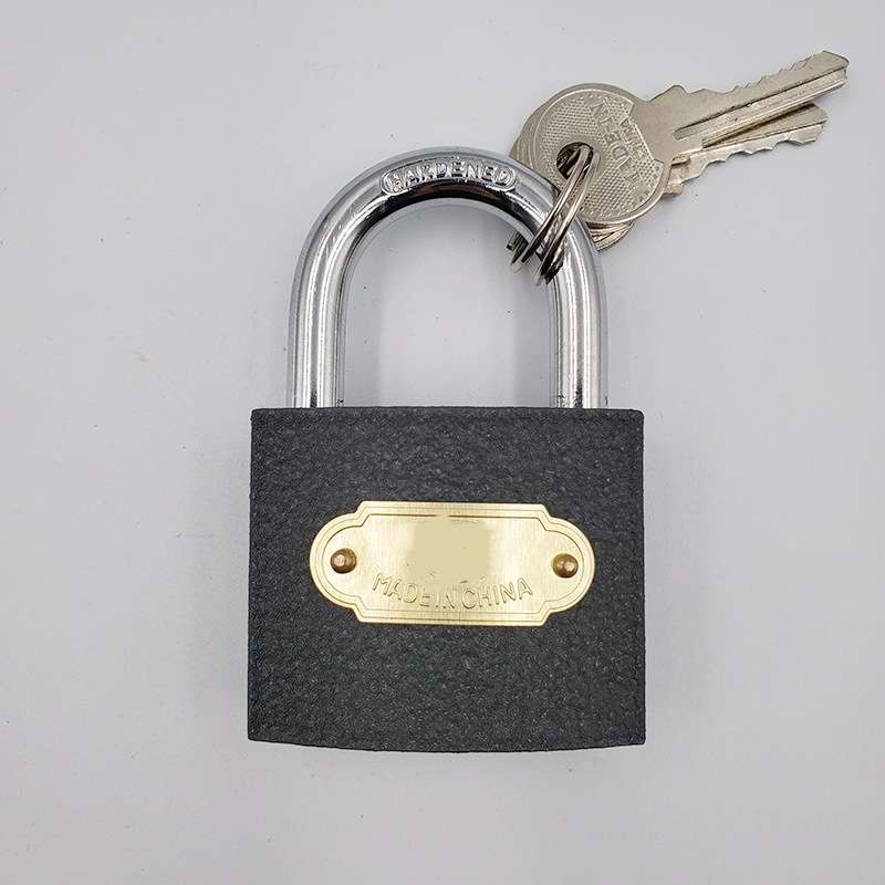 Grey Iron Padlock 38Mm details Picture