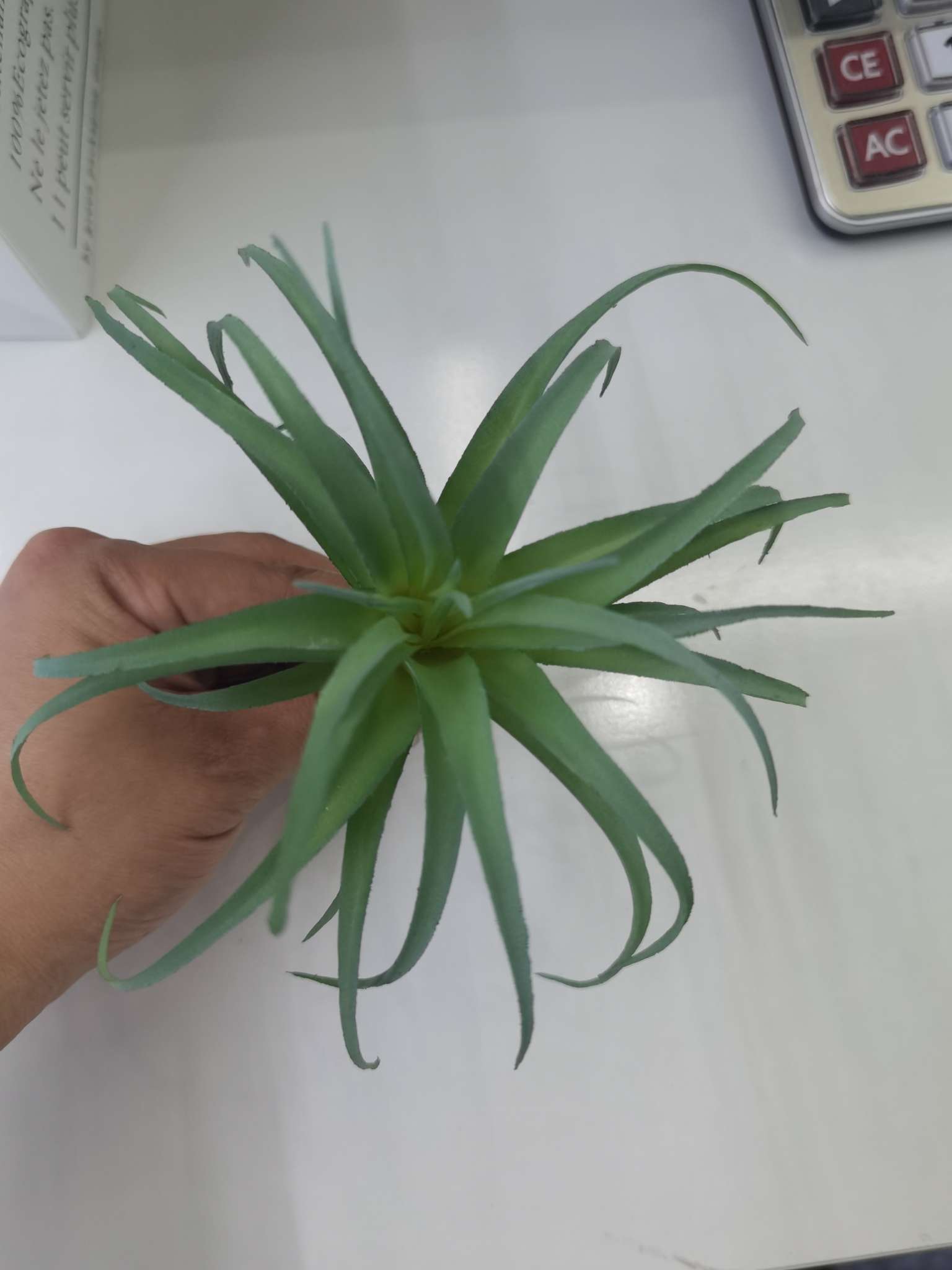 Direct sales from the manufacturer of artificial succulent plants Application Scenario