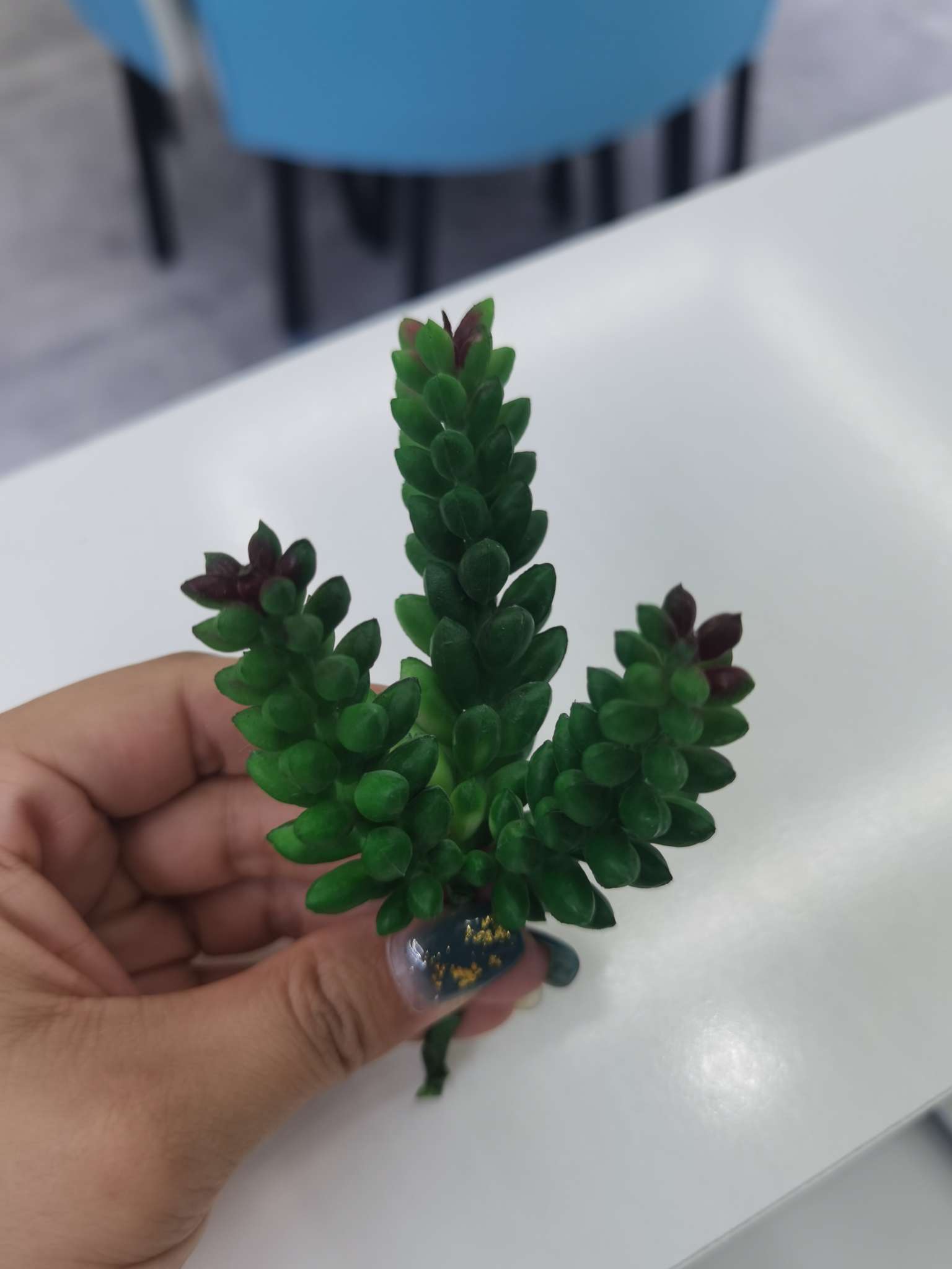 Simulated succulent plant bonsai accessories Application Scenario