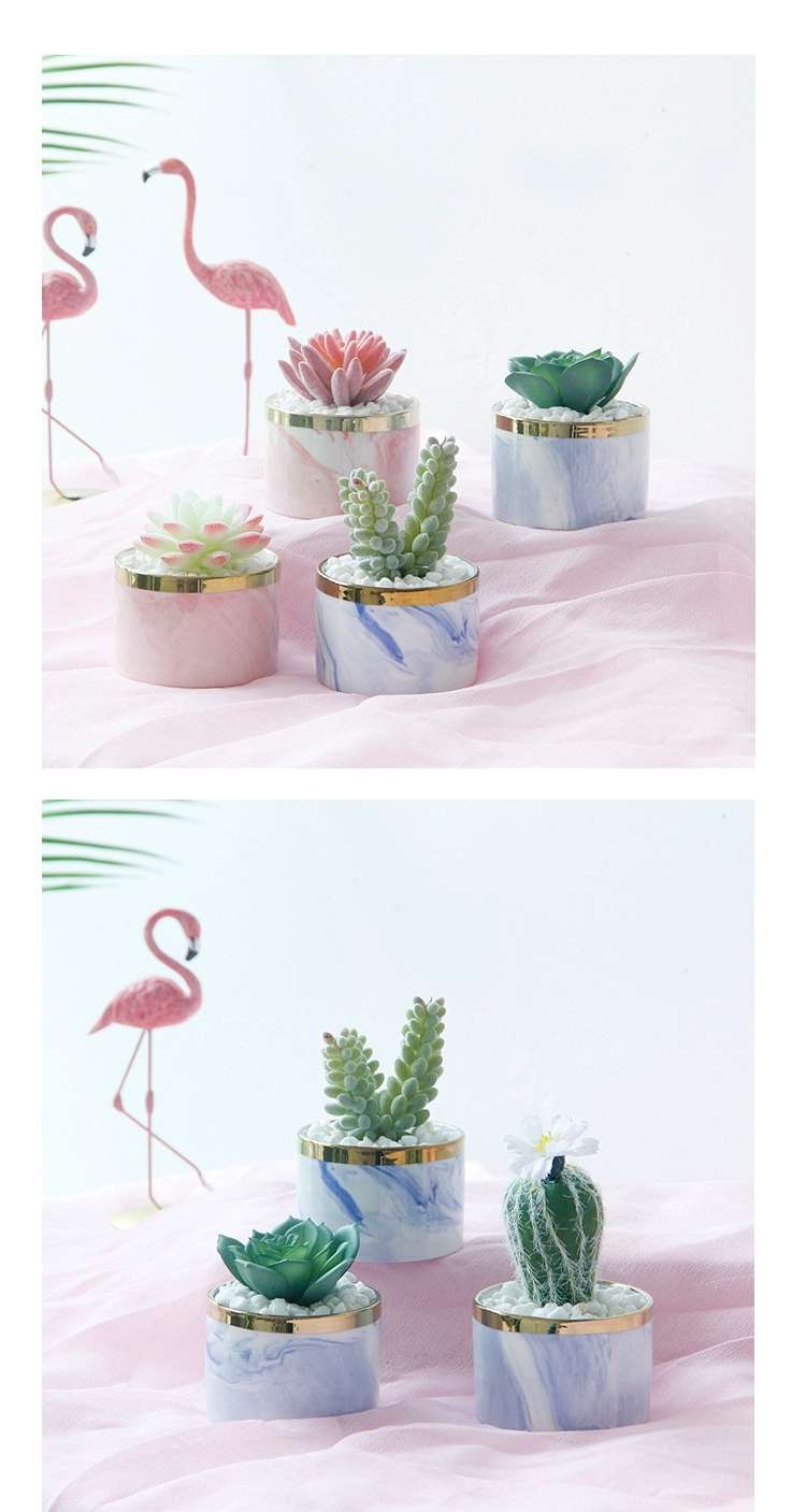 Simulated succulent plant potted plants, bonsai, home decoration items, coffee tables, TV cabinets, dining tables, tabletop decorations, best-selling products for foreign trade details Picture