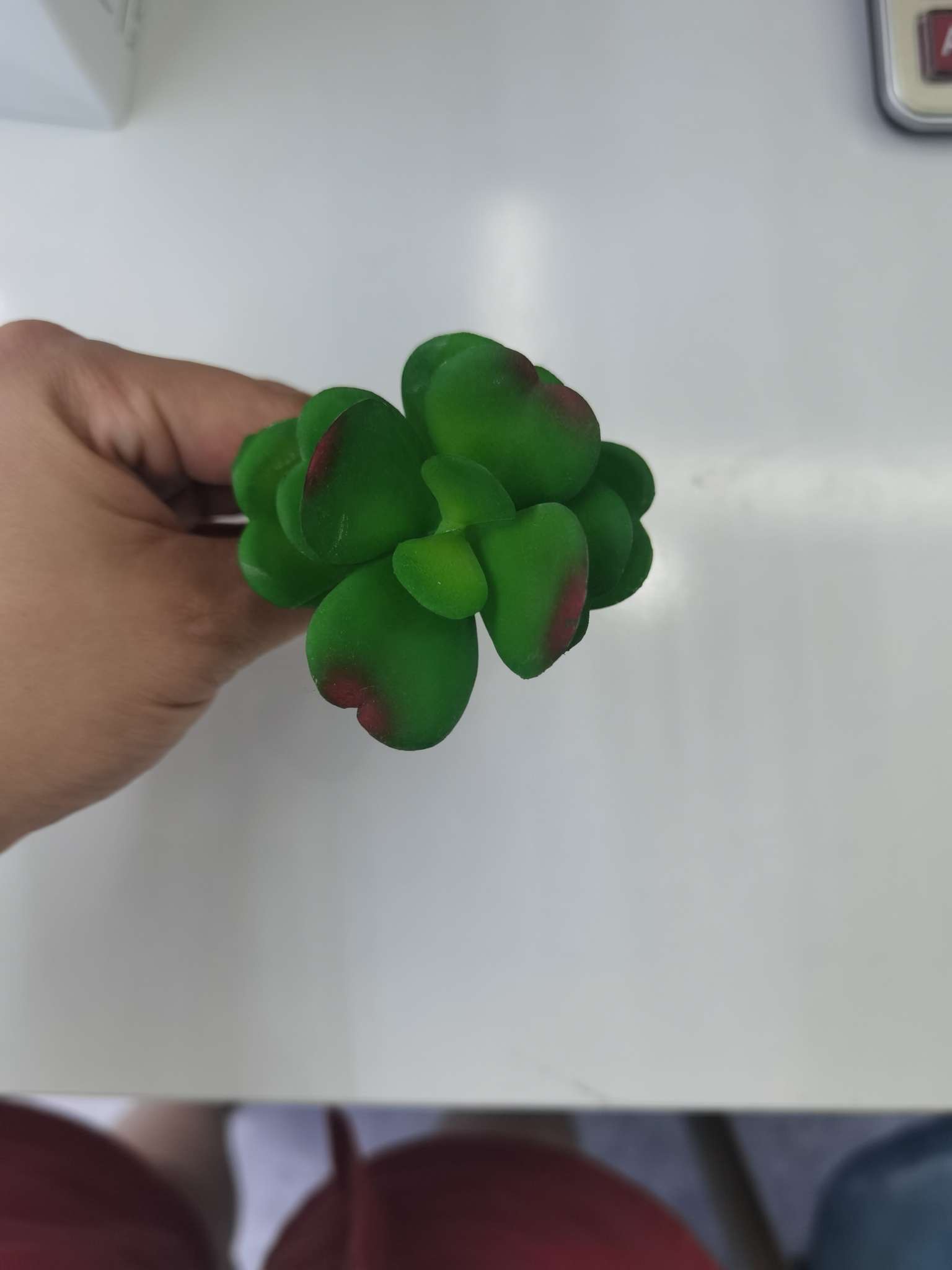 Artificial succulent plants details Picture