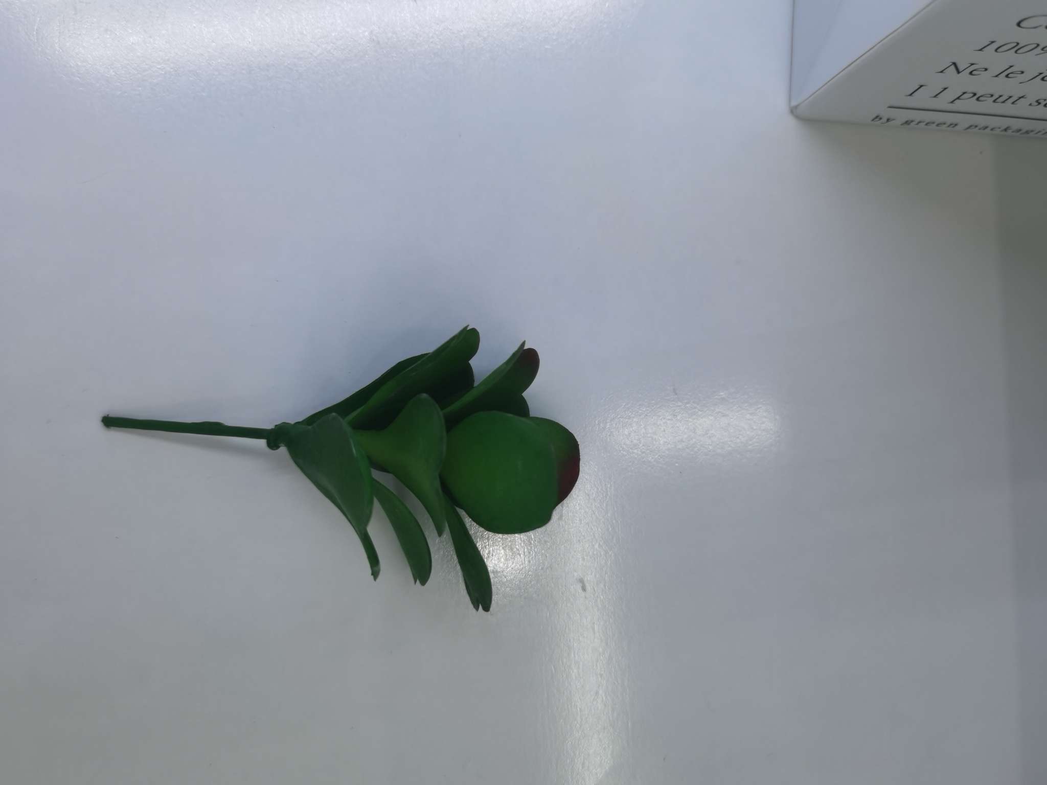 Artificial succulent plants Specification image