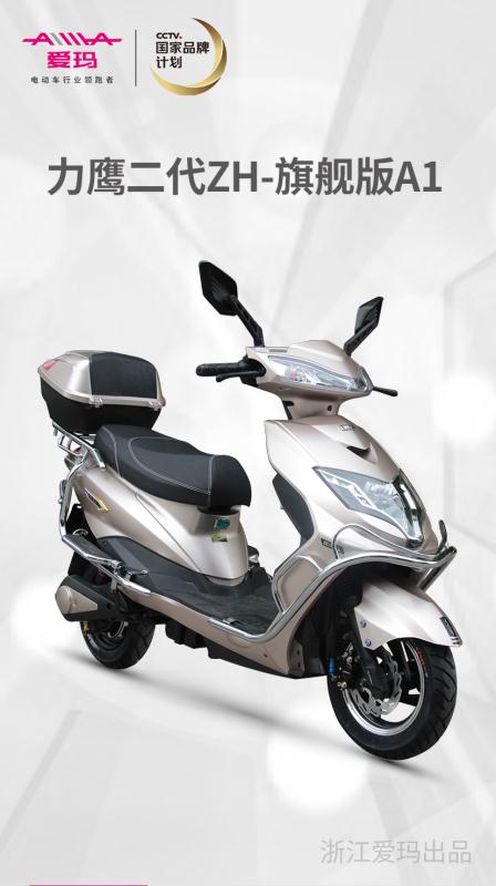 Emma Electric Motor LyM-019 Item Picture