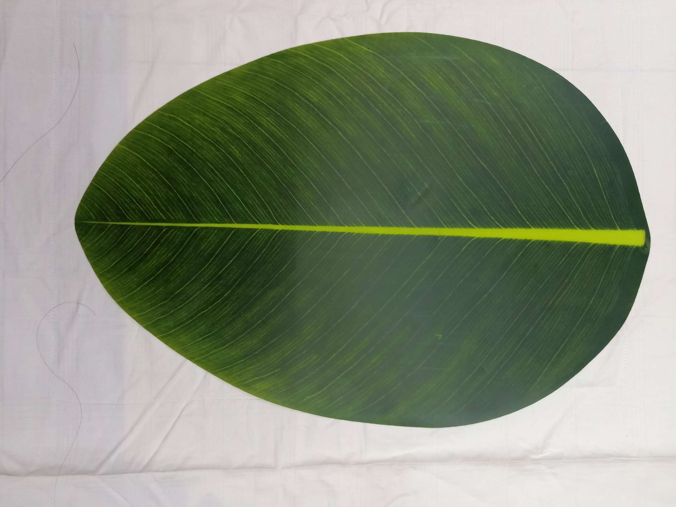 Pⅴc Leaf Shaped Placemat Specification drawing