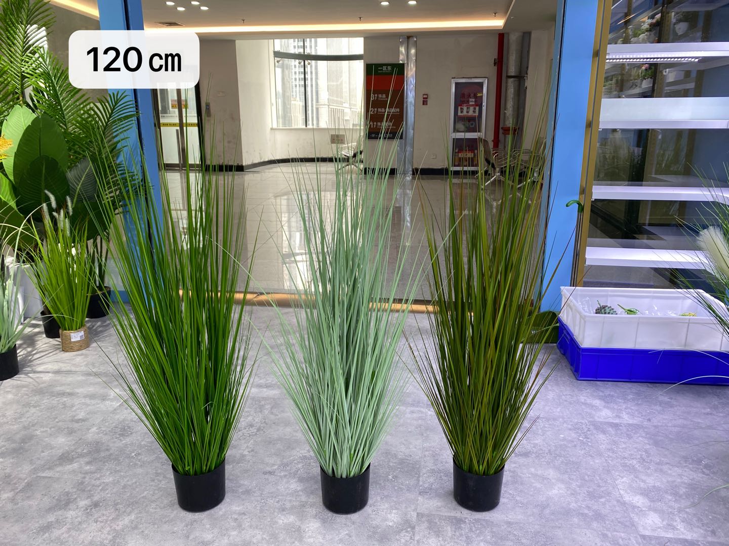 Simulated reed and onion grass potted bonsai, a popular online hit, is a large decorative item for wedding and restaurant decoration undefined